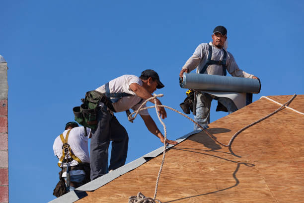 Best Roof Gutter Cleaning  in Chester, VA