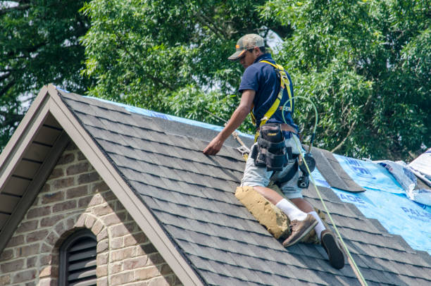 Best Metal Roofing Contractor  in Chester, VA